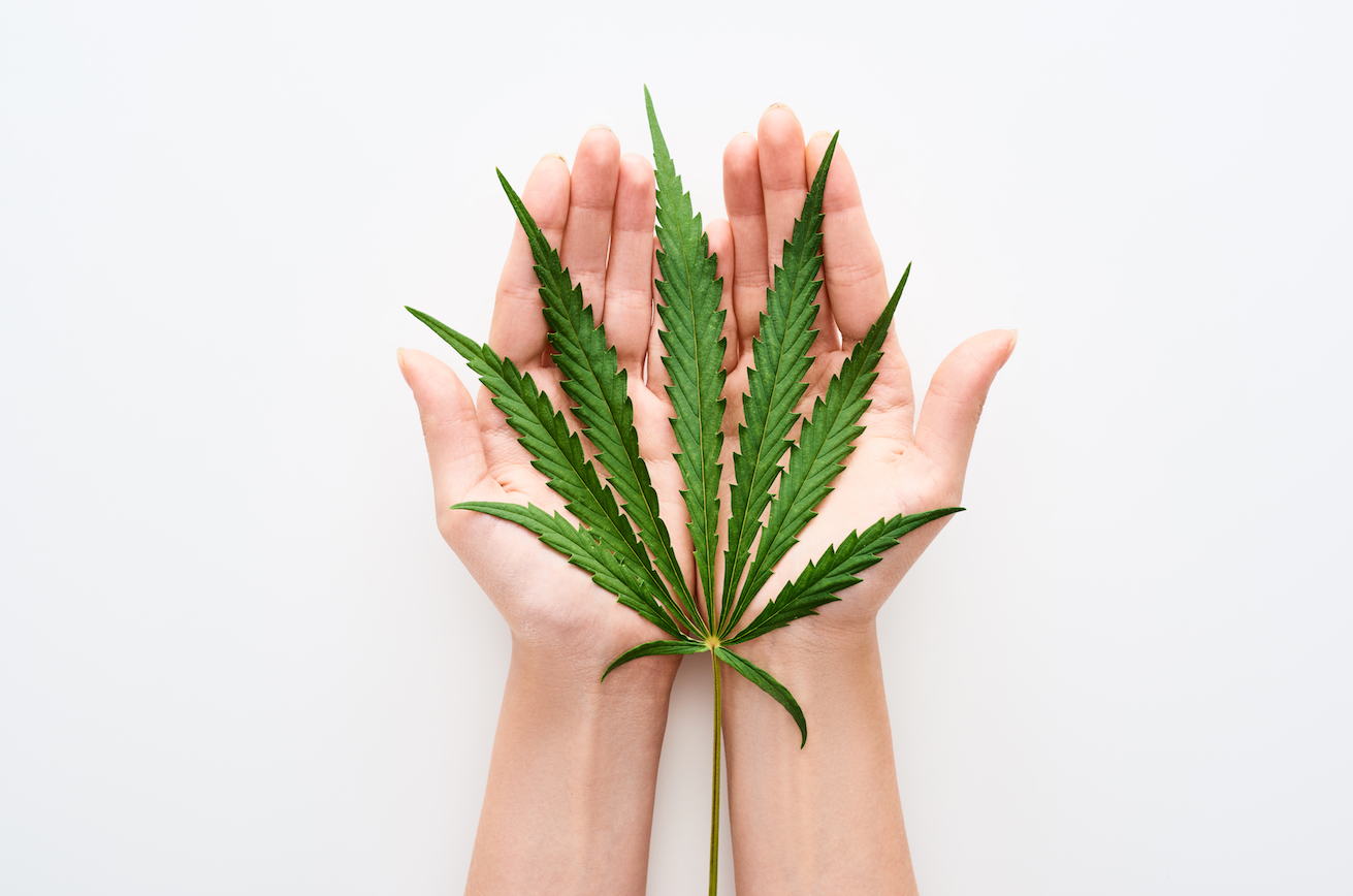 CBD OLIE BIVIRKNINGER