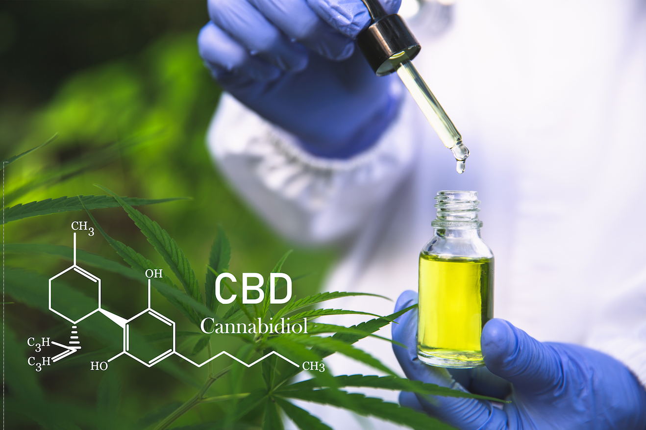 CBD olie mod sclerose